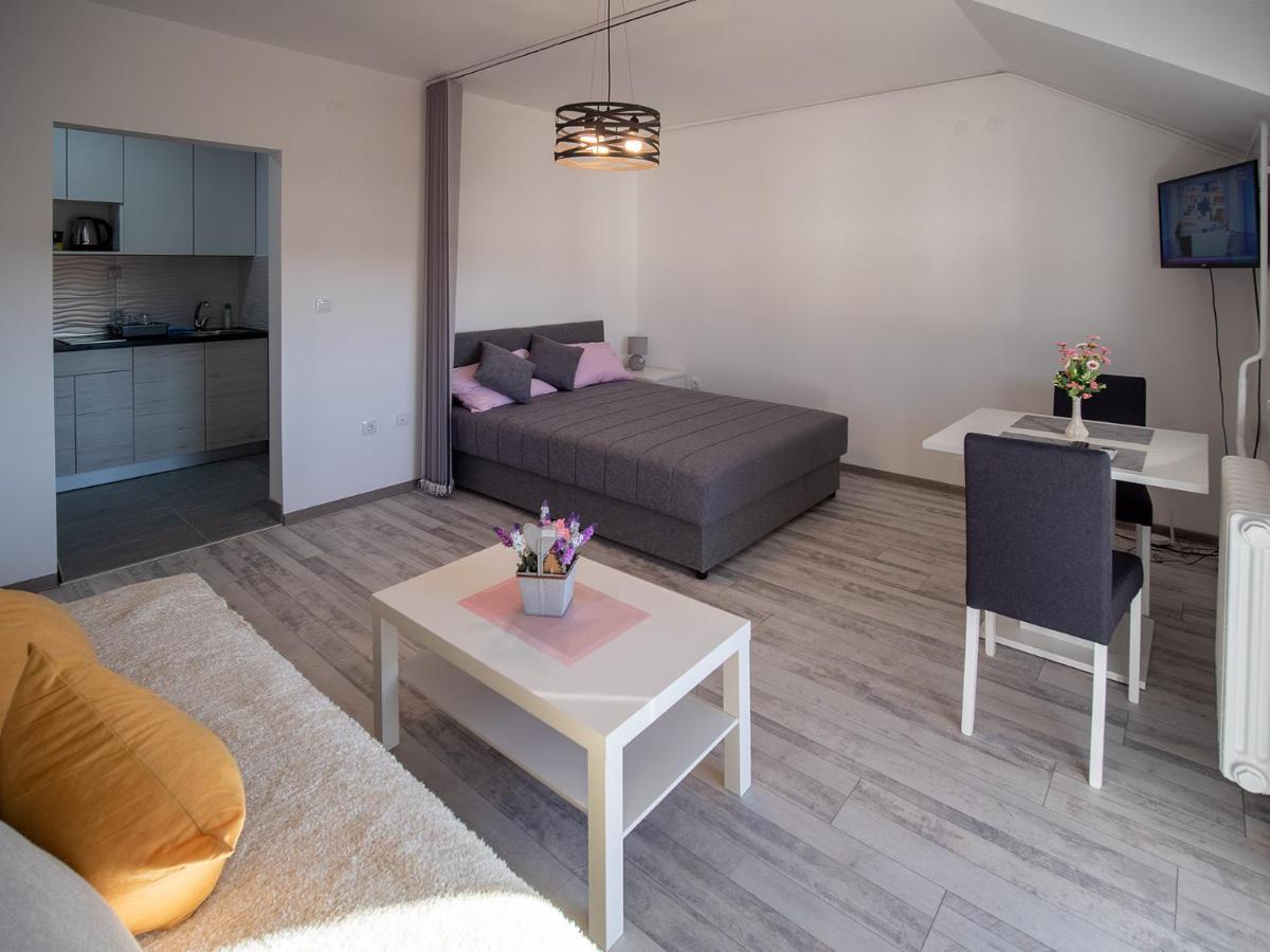 Apartman Sara Apartment Novi Sad Bagian luar foto