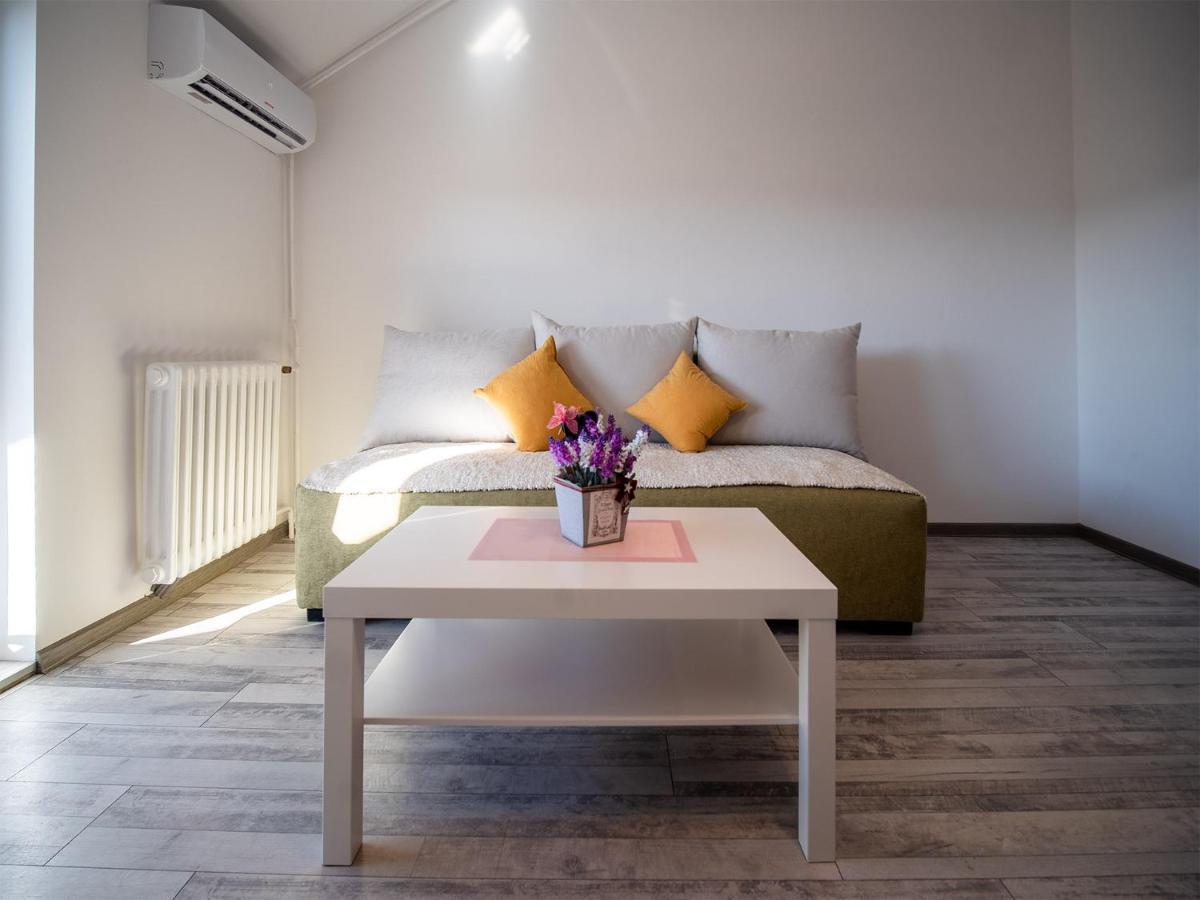 Apartman Sara Apartment Novi Sad Bagian luar foto