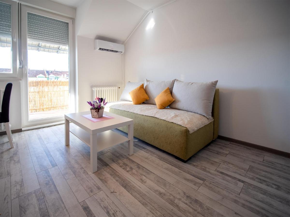 Apartman Sara Apartment Novi Sad Bagian luar foto